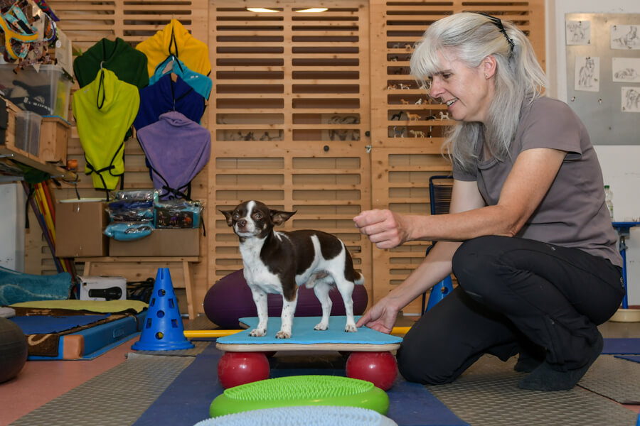 Sandra Boucek sitzt während der Balanceübung mit dem Hund am Boden